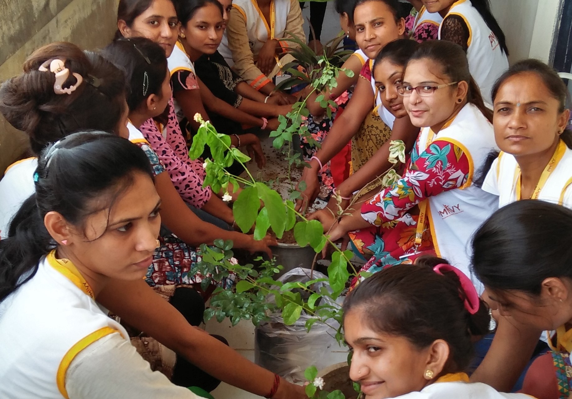 Environment Day Celebration